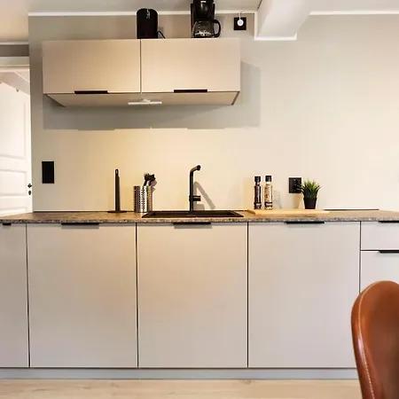 New! Modern In Historic Area Of Bergen! 公寓