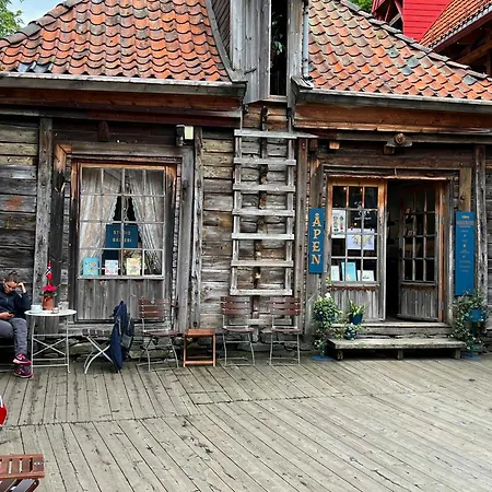Διαμέρισμα New! Modern In Historic Area Of Bergen! *