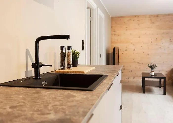 Daire New! Modern In Historic Area Of Bergen! Bergen